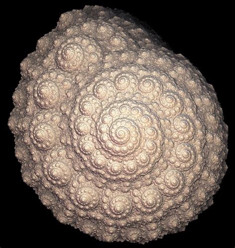 A Seashell Fractal by crotafang Fractal Design, Fractal Art, Fractals In Nature, Seashell Art ...