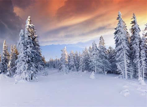 Beautiful Winter Landscape in Mountains. Sunrise Stock Photo - Image of ...