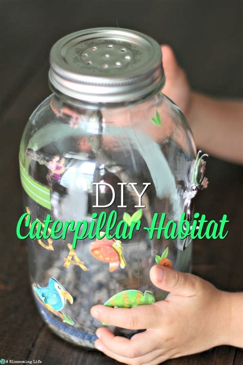 DIY Caterpillar Habitat - A Blossoming Life