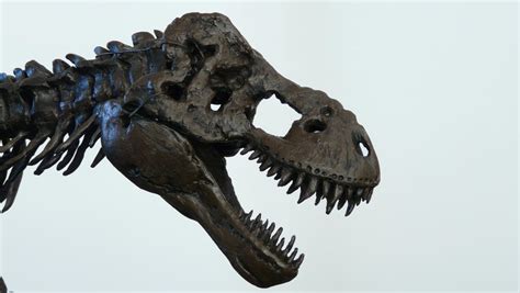 Tyrannosaurus rex Sculpture by waynedowsent on DeviantArt