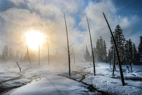 Yellowstone National Park Is Even More Magical In Winter Than Summer