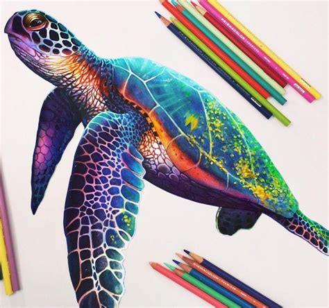 Simple colored pencil drawing ideas - ideasright