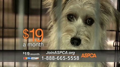 ASPCA TV Spot, 'Prevention of Cruelty to Animals Month' - iSpot.tv