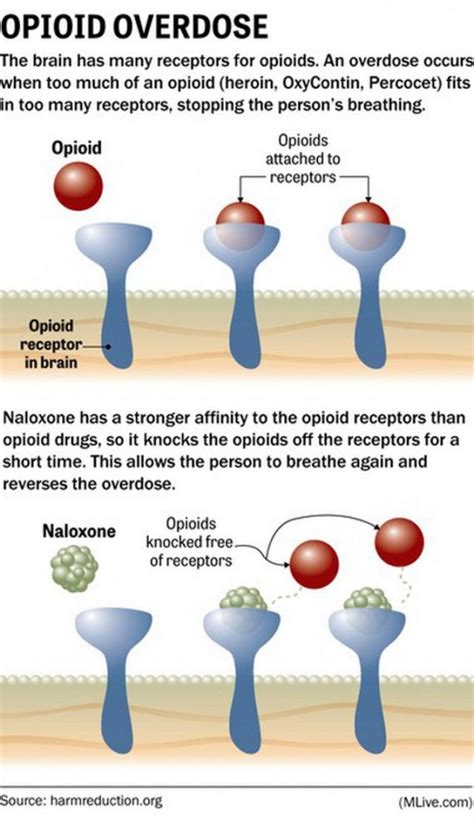 Naloxone - Northreach Society