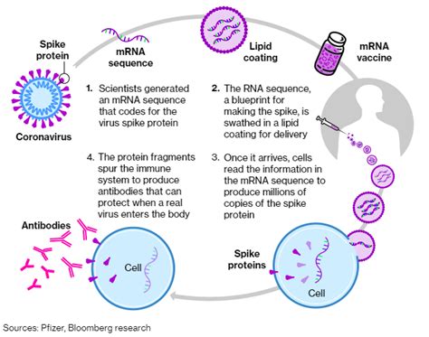 COVID-19 mRNA Vaccines - Orleans Community Health