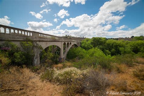 Blue Heron Blast: Old Bonsall Bridge