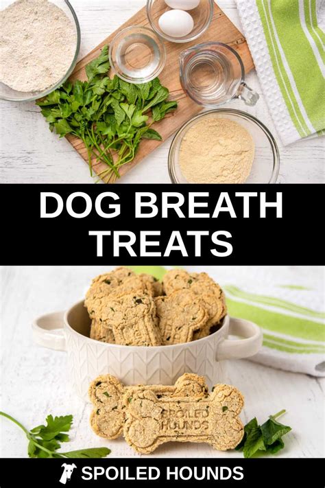 Homemade Dog Treats for Bad Breath - Spoiled Hounds