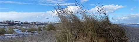 Kessingland Beach Circular, Suffolk, England - 6 Reviews, Map | AllTrails