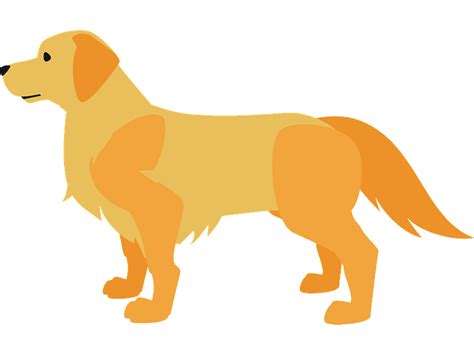 Golden Retriever Clipart Transparent Images - ClipartLib