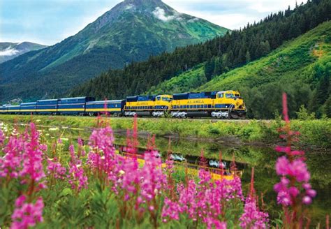 Best Alaska Train Tours | Alaska Shore Excursions