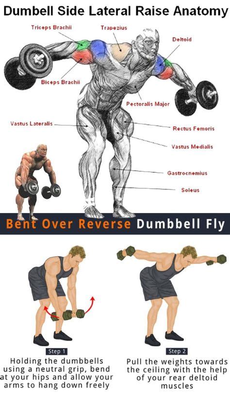 🔴How to Reverse Fly | Gym workout for beginners, Dumbbell fly, Back and biceps