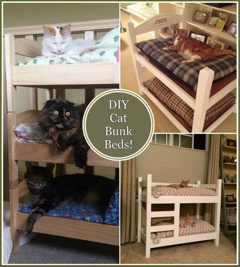 DIY Cat Bunk Beds! | N!FY Animal Lovers! | Pinterest | Bunk bed