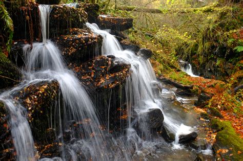 The Birks of Aberfeldy (Walkhighlands)