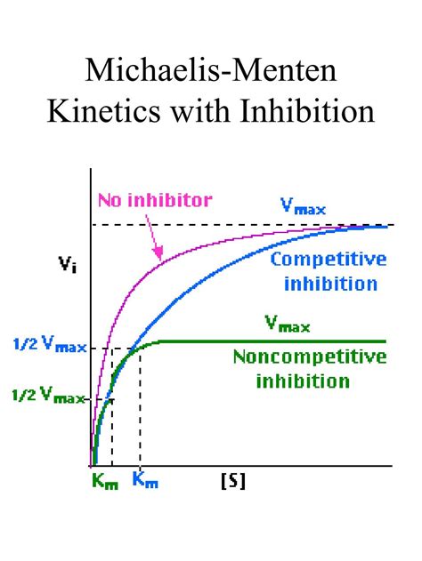 Michaelis Menten Enzyme Kinetics