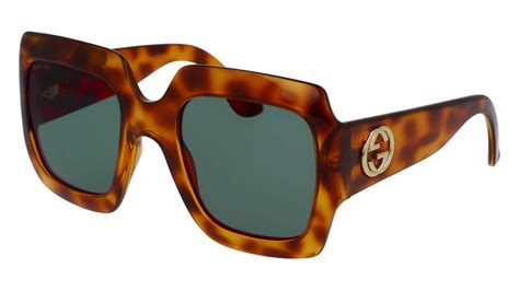 Guide to Tortoise Shell Glasses | FramesDirect