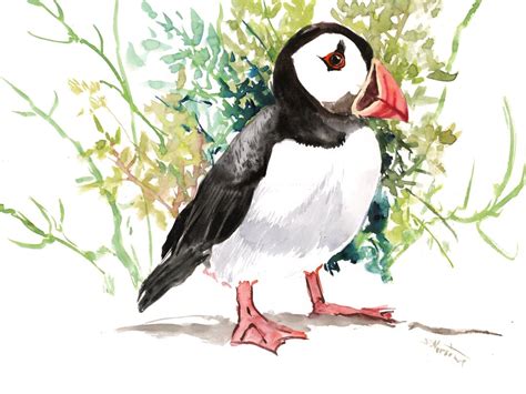 Puffin Art Puffin Painting Watercolor Puffin Original - Etsy