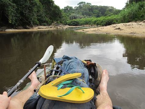 Surviving malaria on the Mano River - BBC News