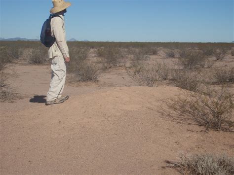 Desert Archaeology