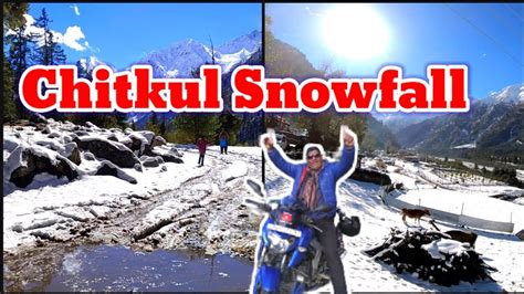 Chitkul Snowfall | Snowfall in Sangla,rakcham village to chitkul road HP|@tastybites7575 - YouTube