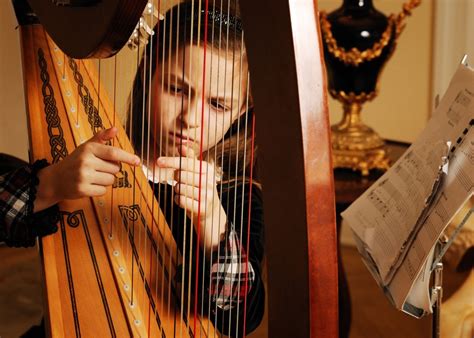 The Story of the Irish Harp • Irish Traditions - A Tipperary Store ...