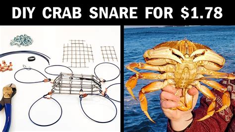 How to Make a Crab Snare for $1.78 - YouTube