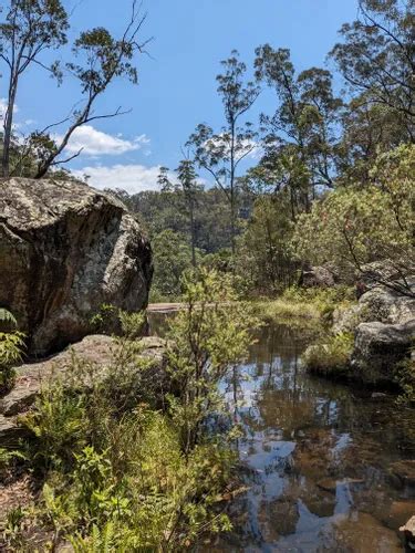 Best Hikes and Trails in Blackdown Tableland National Park | AllTrails