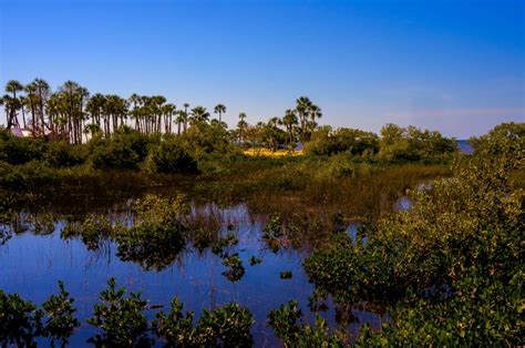 Biodiversity in Forests – ForestKnowledge