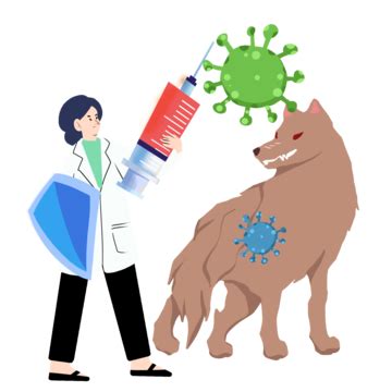 Rabies Virus Doctor Explains Virus Vaccination, World Rabies Day ...