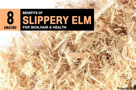 8 Amazing Slippery Elm Benefits for Hair, Skin and Health