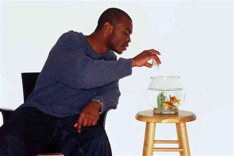 What Do Goldfish Eat? (All You Need To Know) - AquariumPub