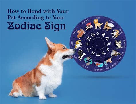 How to Bond with Your Pet According to Your Zodiac Sign