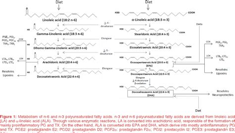 [PDF] Omega-3 polyunsaturated fatty acids and cardiovascular health: a molecular view into ...