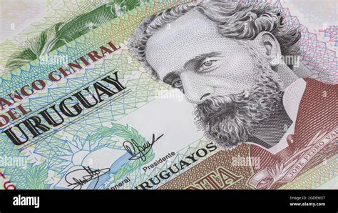 Close up to Uruguayan peso of the Republic of Uruguay. Polymer ...