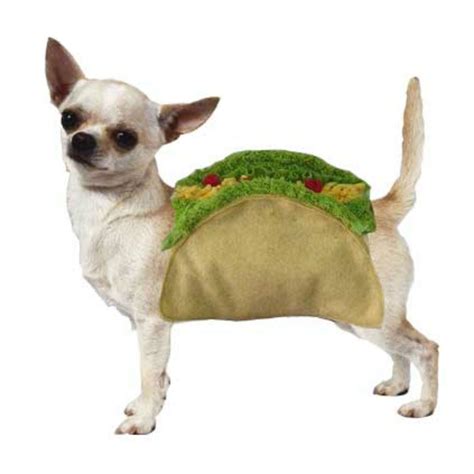 Puppe Love Taco Dog Costume | BaxterBoo