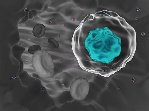 The Hunt for Circulating Tumor Cells: CTC Detection for Oncology Research