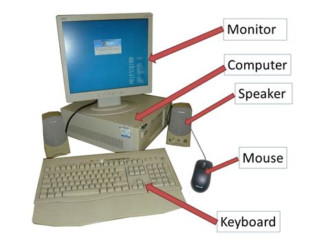 [DIAGRAM] Teeth Labeled Diagram Mouse - MYDIAGRAM.ONLINE