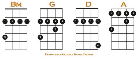 How to Play Barre Chords on Ukulele: 6 Easy Steps and 5 Great Tips!