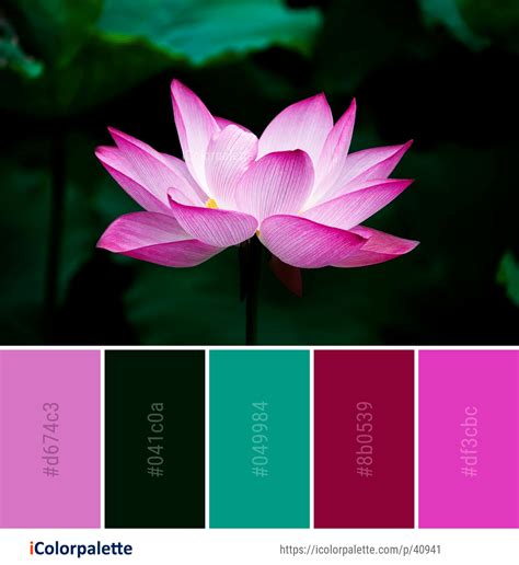 Color Palette ideas from 172 Lotus Images | iColorpalette Red Colour ...