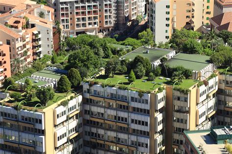 Sustainability Series: Green Roofs | Swiss Re