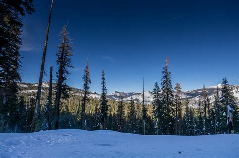 22 Hours of Driving, 1.5 Days of Snowshoeing, Yosemite National Park! - Seek Adventure