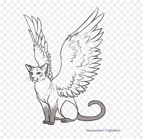 Wings Lineart Siamese Cat For Free Download - Angel Cat Wings Drawing ...