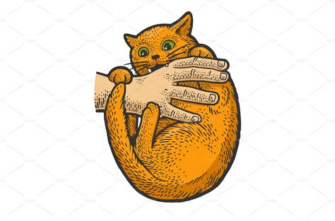 cat bites hand sketch vector | Animal Illustrations ~ Creative Market