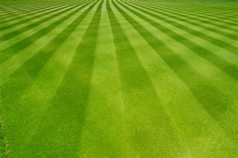 How to mow a lawn | Lawn Care Guide by Lawn Love