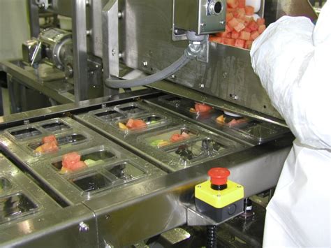 Fresh Fruit Packaging Machine - ORICS Automated Filling and Sealing machines