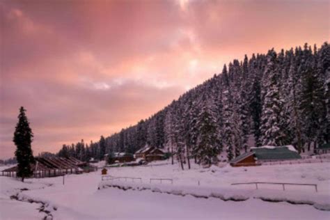 Rise in Kashmir Tourism : After summer of unrest, Kashmir’s tourism sector back on track this ...