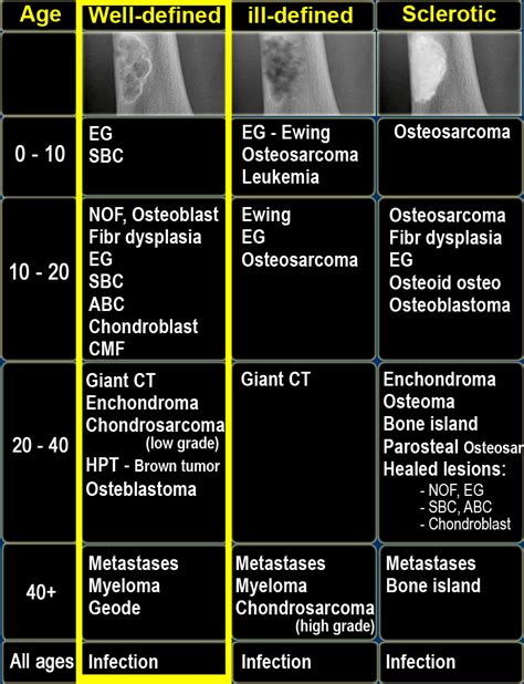 Lytic Bone Lesions Radiology