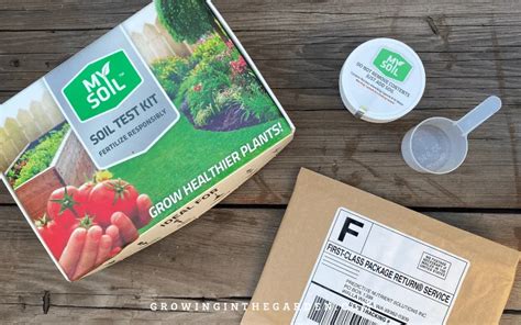 Soil Testing: When & How to Test Your Soil - Growing In The Garden