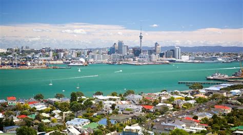 Top 10 Cheap Pet Friendly Hotels Accommodation in Devonport | Expedia