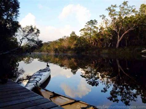 Kayaking Noosa Everglades: an adventure in the immaculate wilderness