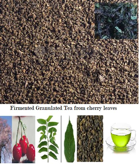CHERRY LEAF TEA | Online Herb Store | Mehwerteas.....
